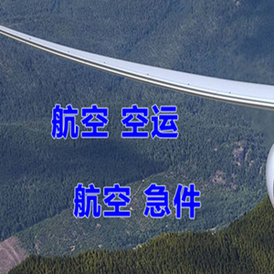 太平空运代理快递-选东方航空和上海航空
